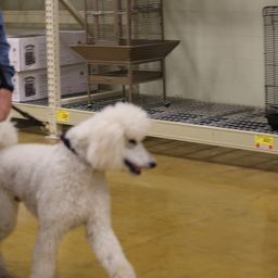 photograph by PeterW